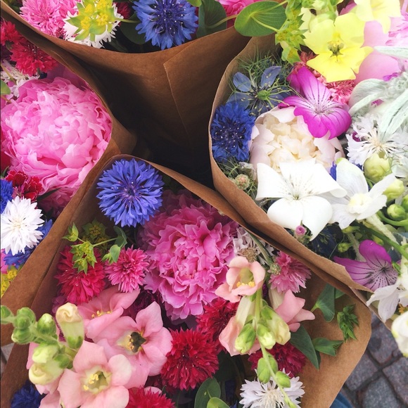 Meet your Posher, Holly - Picture 1 of 1